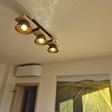 Apartman Vital Na Palave - Ubytovani & Zivotni Restart Pasohlávky Εξωτερικό φωτογραφία