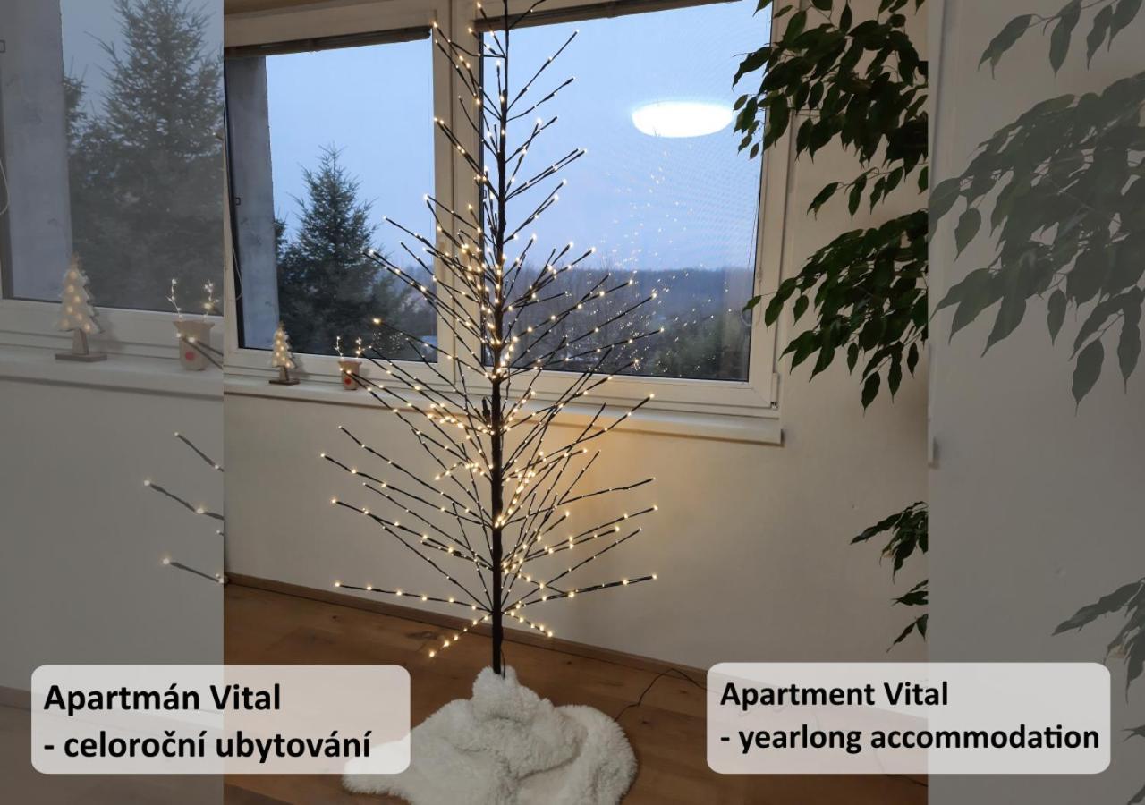Apartman Vital Na Palave - Ubytovani & Zivotni Restart Pasohlávky Εξωτερικό φωτογραφία