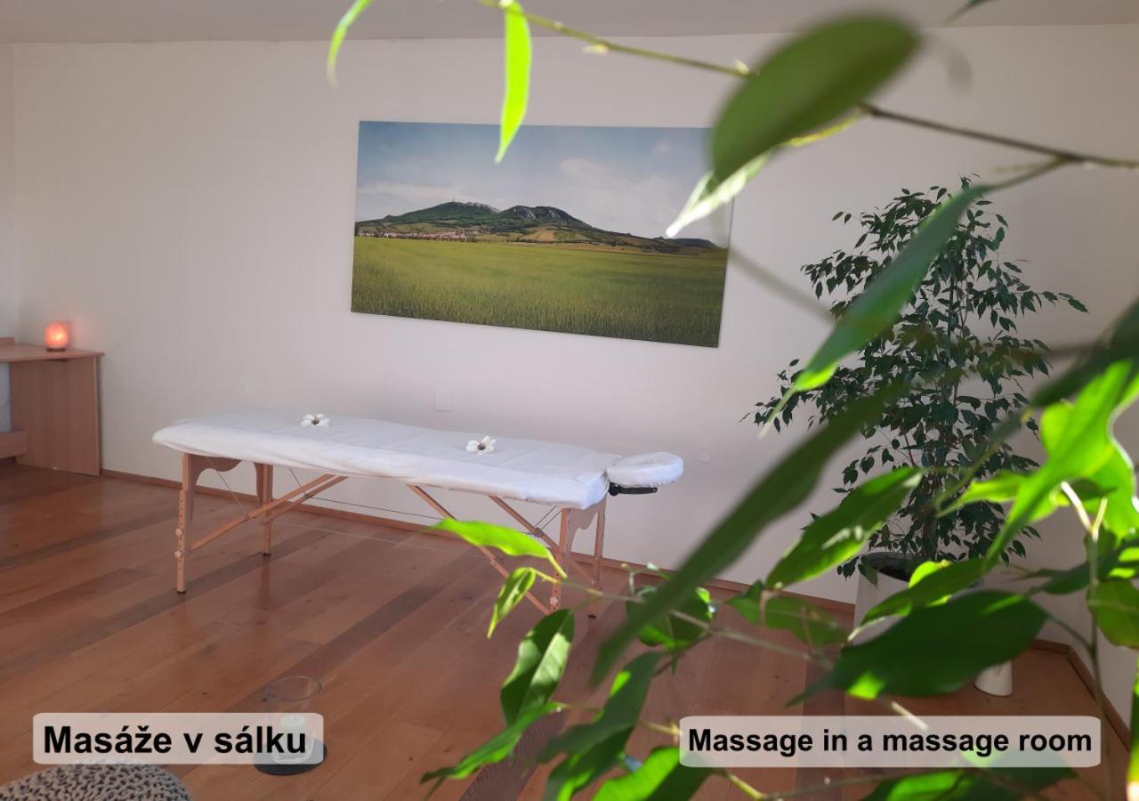Apartman Vital Na Palave - Ubytovani & Zivotni Restart Pasohlávky Εξωτερικό φωτογραφία