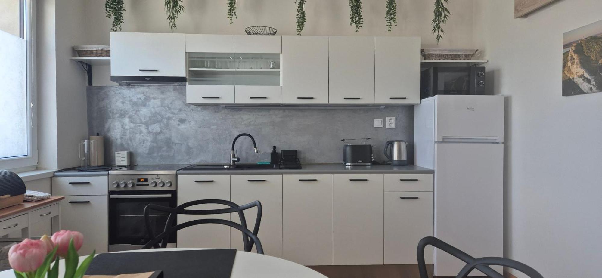 Apartman Vital Na Palave - Ubytovani & Zivotni Restart Pasohlávky Εξωτερικό φωτογραφία