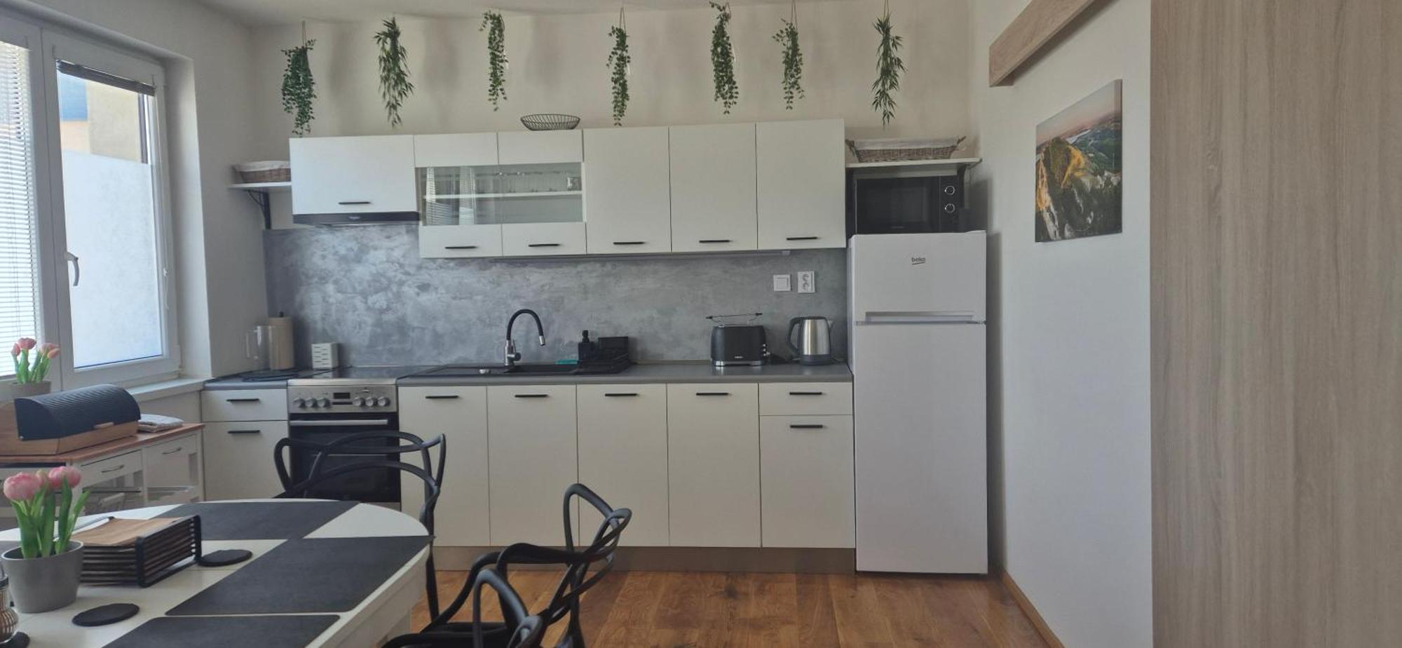 Apartman Vital Na Palave - Ubytovani & Zivotni Restart Pasohlávky Εξωτερικό φωτογραφία